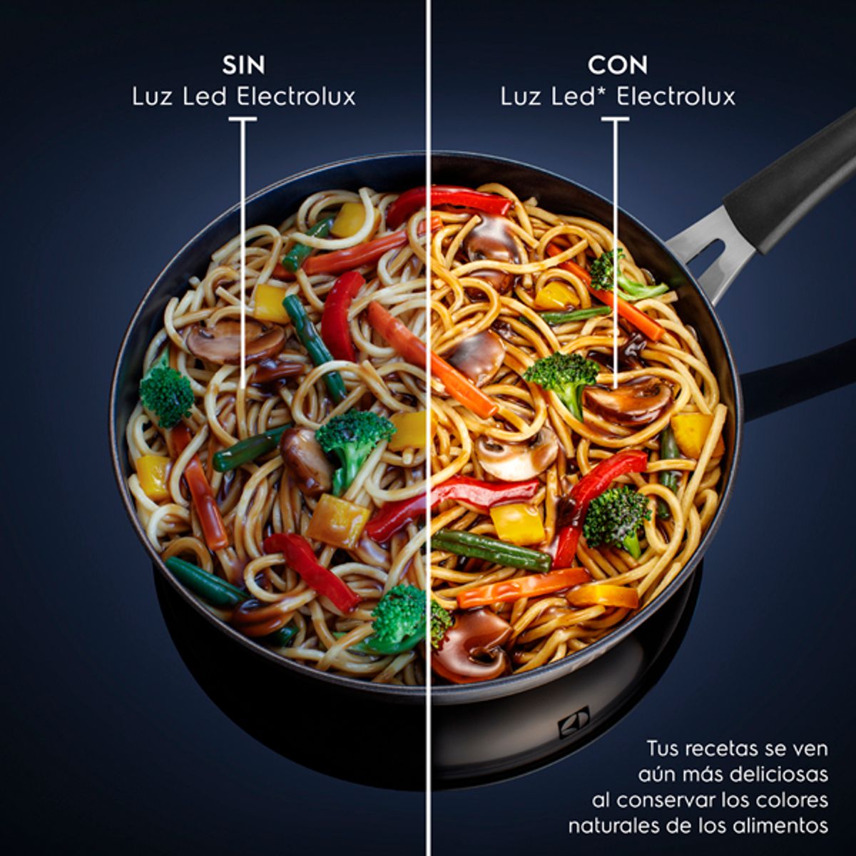 visual_claim_Electrolux_Spanish_600x600-600x600.raw.jpg