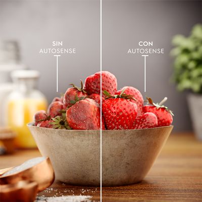 Refrigerator_Replace_Autosense_Electrolux_Spanish-1000x1000.raw